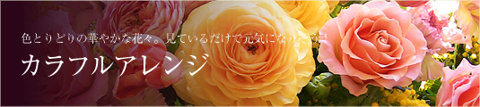 カラフルアレンジ