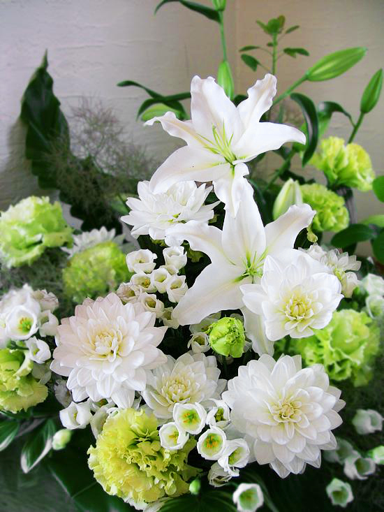 ダリアとカサブランカのお供え花アレンジ(ダリア・カサプランカ)【法
