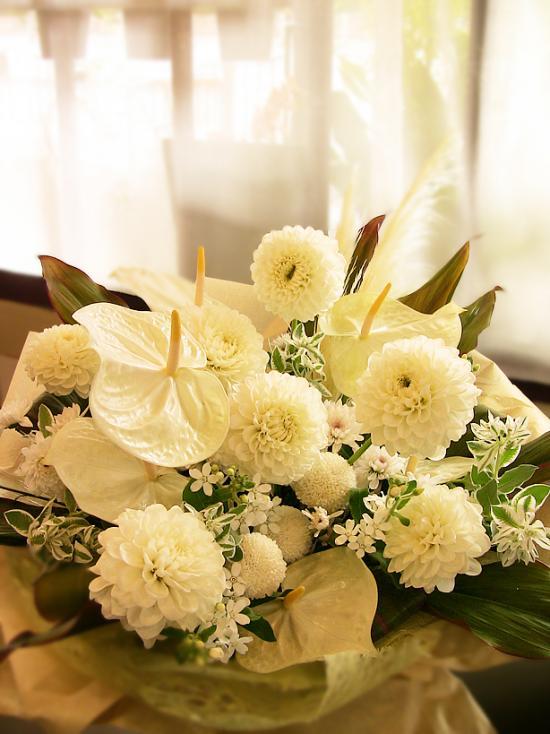 ダリアとアンスリュームのホワイトアレンジメント【法事・お祝い】