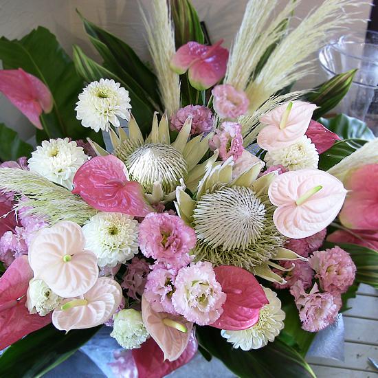 【豪華】キングプロテアとピンクアンスリュームのアレンジメント