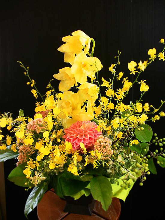 お祝い花に!!季節の蘭のシャワーアレンジ