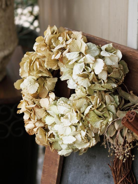 ハイドランジア(あじさい) ドライリース(小)