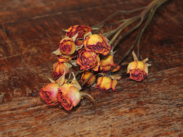 スプレーローズ【オレンジ】ドライフラワー