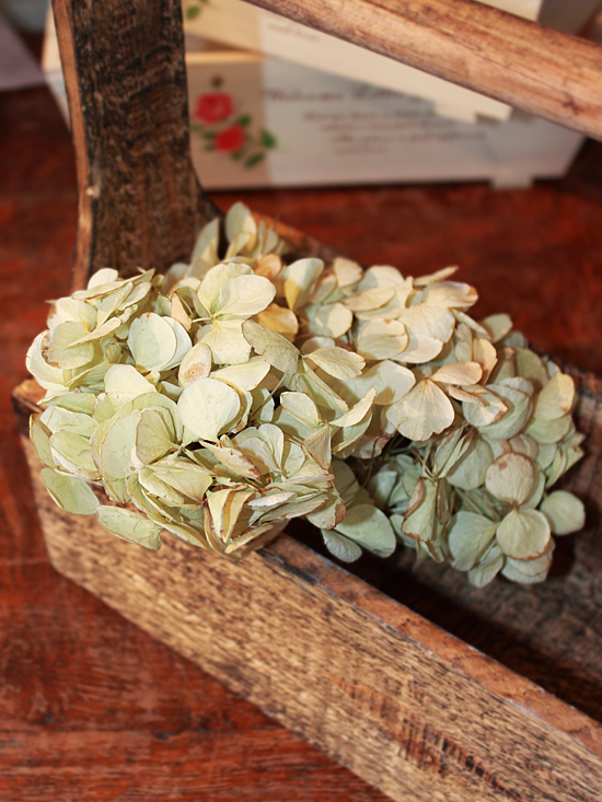 ハイドランジア(あじさい)のドライフラワーMIX