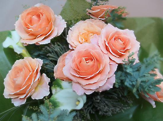 バラ(パステルカラー)とグリーンの花束