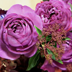 紫バラのシックな花束