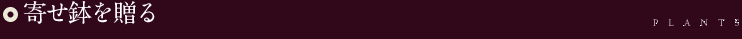 寄せ鉢を贈る